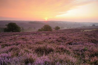 BUITEN BEELD Foto: 140999