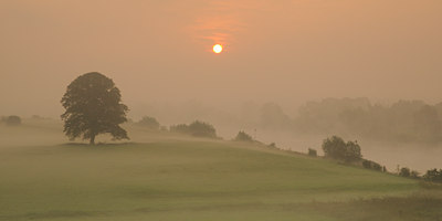 BUITEN BEELD Foto: 141019