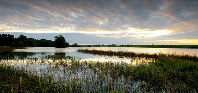 BUITEN BEELD Foto: 141025