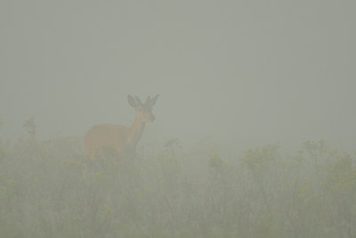 BUITEN BEELD Foto: 141033