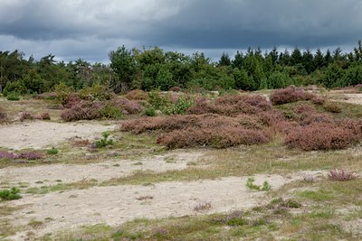 BUITEN BEELD Foto: 141042