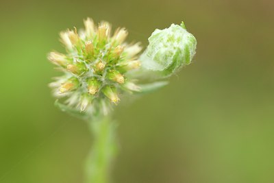 BUITEN BEELD Foto: 141048