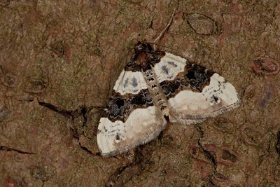 BUITEN BEELD Foto: 141082