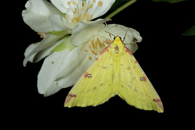 BUITEN BEELD Foto: 141109