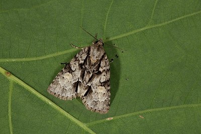 BUITEN BEELD Foto: 141134