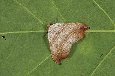 BUITEN BEELD Foto: 141135
