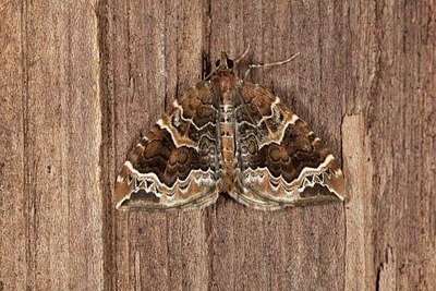 BUITEN BEELD Foto: 141172