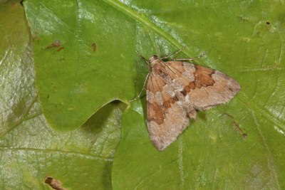 BUITEN BEELD Foto: 141182