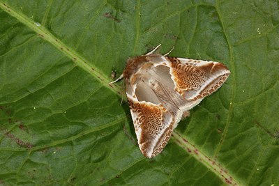 BUITEN BEELD Foto: 141185