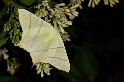 BUITEN BEELD Foto: 141195