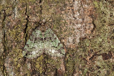 BUITEN BEELD Foto: 141215
