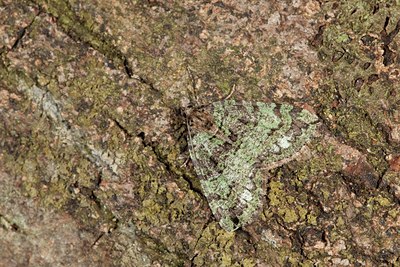 BUITEN BEELD Foto: 141216