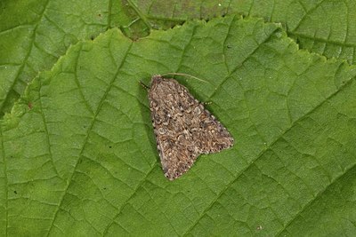 BUITEN BEELD Foto: 141231