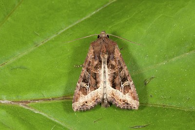 BUITEN BEELD Foto: 141250