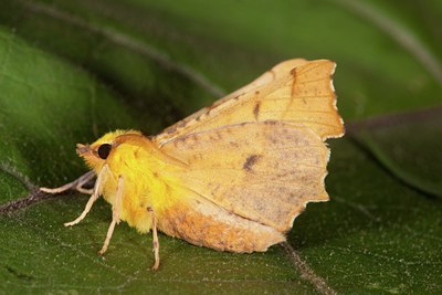 BUITEN BEELD Foto: 141280