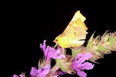 BUITEN BEELD Foto: 141282