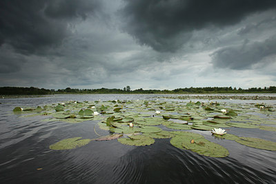 BUITEN BEELD Foto: 141369