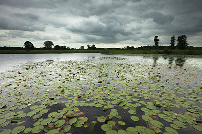 BUITEN BEELD Foto: 141371