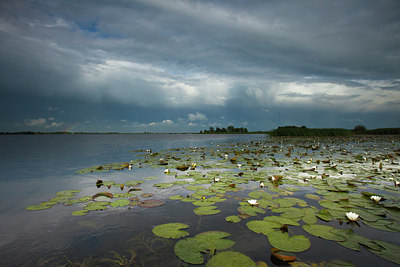 BUITEN BEELD Foto: 141374