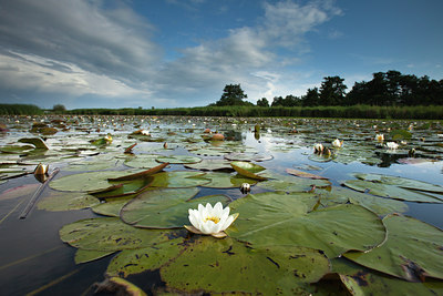 BUITEN BEELD Foto: 141379