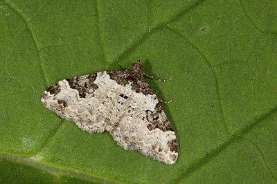 BUITEN BEELD Foto: 141380