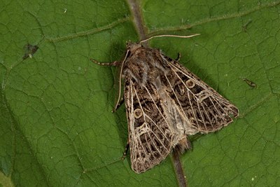 BUITEN BEELD Foto: 141429