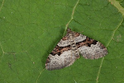 BUITEN BEELD Foto: 141431