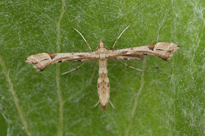 BUITEN BEELD Foto: 141438