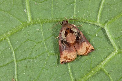 BUITEN BEELD Foto: 141441
