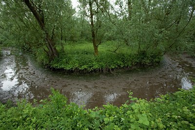 BUITEN BEELD Foto: 141446