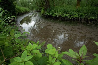 BUITEN BEELD Foto: 141447