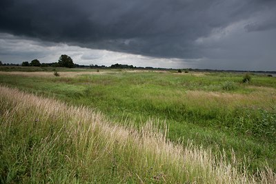 BUITEN BEELD Foto: 141448