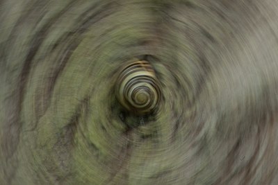 BUITEN BEELD Foto: 141455