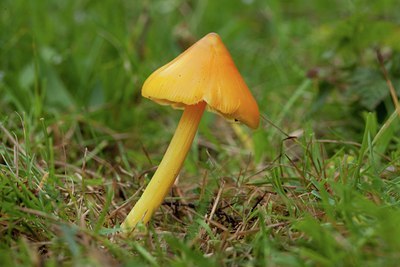 BUITEN BEELD Foto: 141463