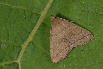 BUITEN BEELD Foto: 141476