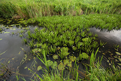 BUITEN BEELD Foto: 141480