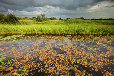 BUITEN BEELD Foto: 141487