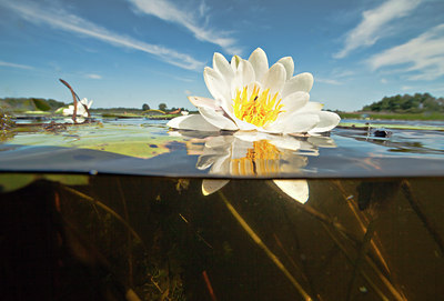 BUITEN BEELD Foto: 141494
