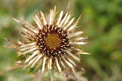BUITEN BEELD Foto: 141512