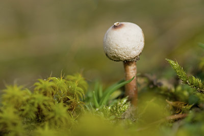 BUITEN BEELD Foto: 141676