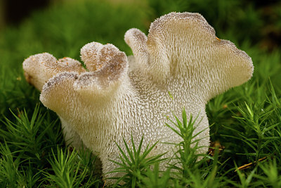 BUITEN BEELD Foto: 141760
