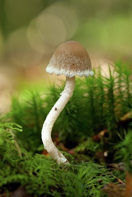 BUITEN BEELD Foto: 141775