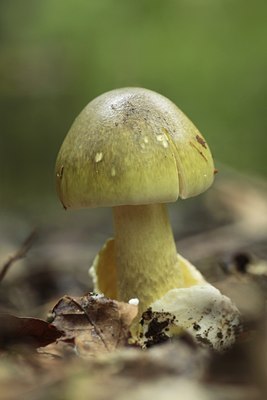 BUITEN BEELD Foto: 141852