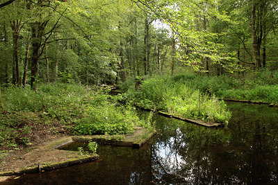 BUITEN BEELD Foto: 141887