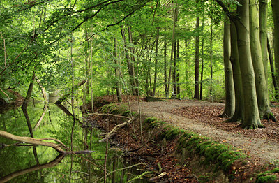 BUITEN BEELD Foto: 141888