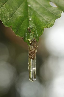 BUITEN BEELD Foto: 141916