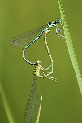 BUITEN BEELD Foto: 142000