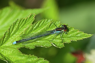 BUITEN BEELD Foto: 142059