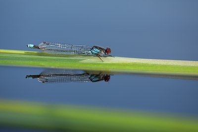 BUITEN BEELD Foto: 142085