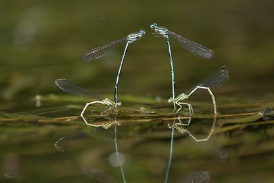 BUITEN BEELD Foto: 142088